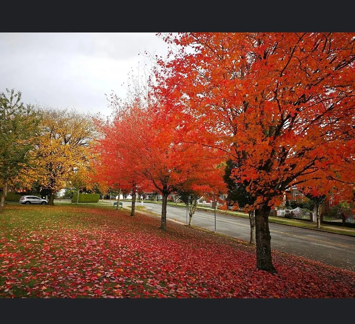 Appartamento Vancouver Park Home Psalm 37